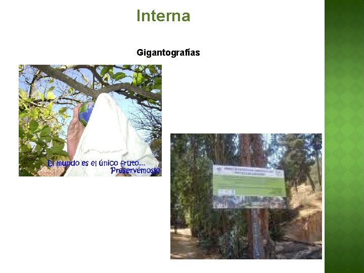Interna Gigantografías 