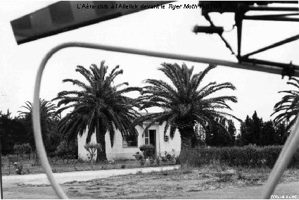 L’Aéro-club à l’Allelick devant le Tiger Moth F-BFHR (Yolande Canto) 