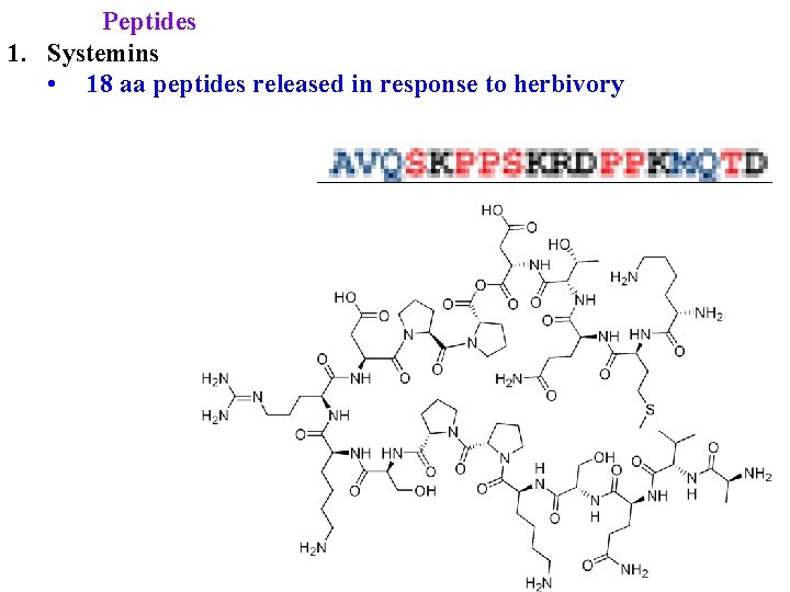 Peptides 1. Systemins • 18 aa peptides released in response to herbivory 