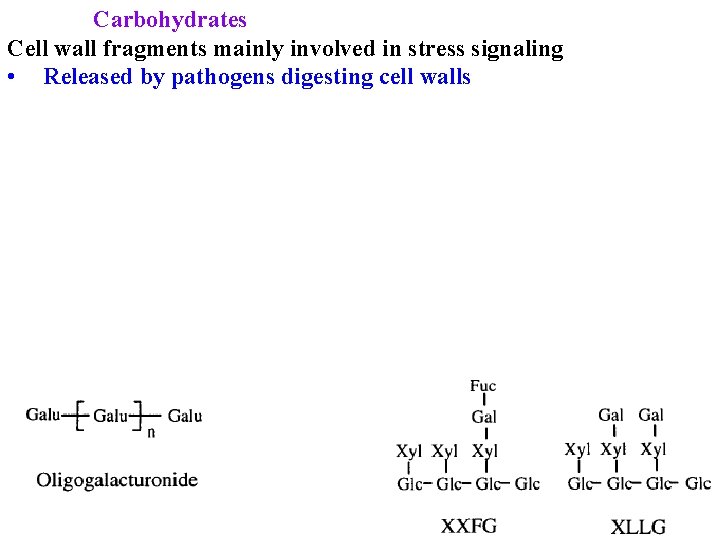 Carbohydrates Cell wall fragments mainly involved in stress signaling • Released by pathogens digesting