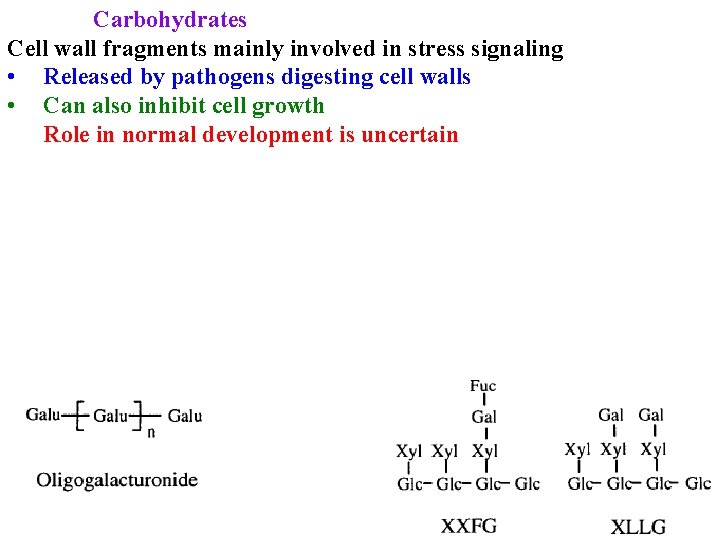 Carbohydrates Cell wall fragments mainly involved in stress signaling • Released by pathogens digesting