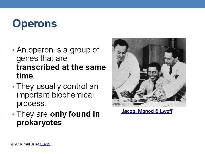 Operons • An operon is a group of genes that are transcribed at the