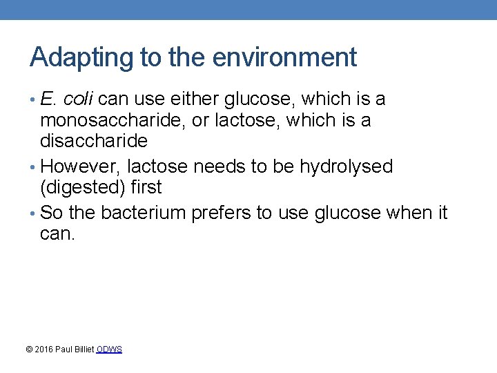Adapting to the environment • E. coli can use either glucose, which is a