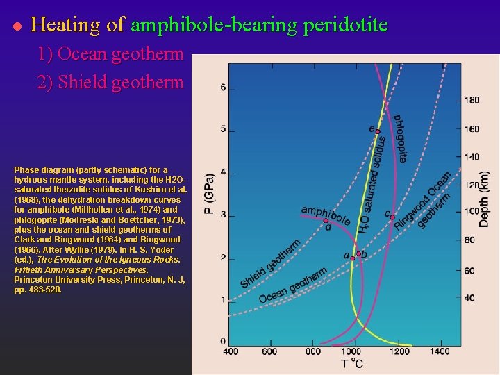 l Heating of amphibole-bearing peridotite 1) Ocean geotherm 2) Shield geotherm Phase diagram (partly