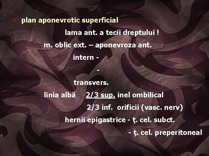 ü plan aponevrotic superficial lama ant. a tecii dreptului ! m. oblic ext. –