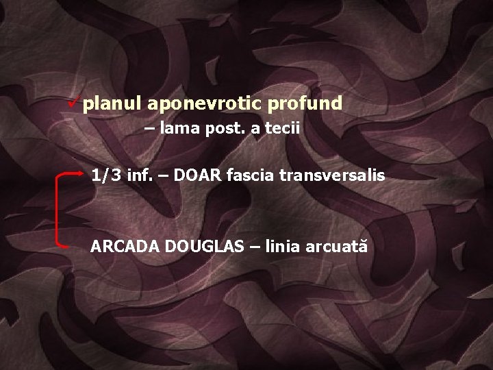 üplanul aponevrotic profund – lama post. a tecii 1/3 inf. – DOAR fascia transversalis