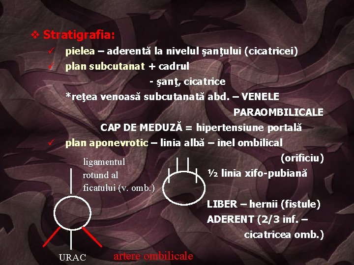 v Stratigrafia: ü pielea – aderentă la nivelul şanţului (cicatricei) ü plan subcutanat +