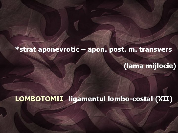 *strat aponevrotic – apon. post. m. transvers (lama mijlocie) LOMBOTOMII ligamentul lombo-costal (XII) 