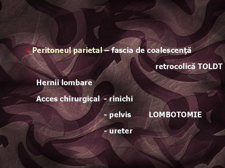 ü Peritoneul parietal – fascia de coalescenţă retrocolică TOLDT Hernii lombare Acces chirurgical -