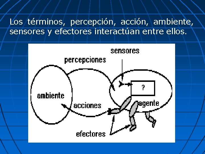 Los términos, percepción, acción, ambiente, sensores y efectores interactúan entre ellos. 