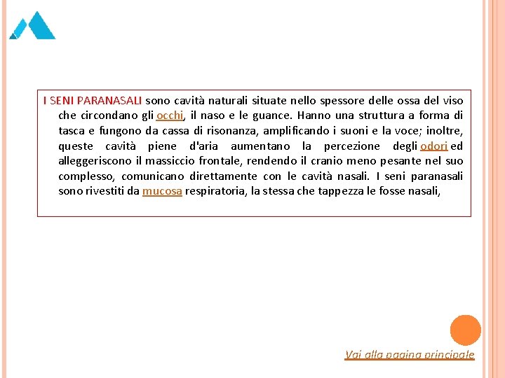 I SENI PARANASALI sono cavità naturali situate nello spessore delle ossa del viso che