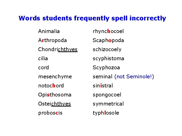Words students frequently spell incorrectly Animalia rhynchocoel Arthropoda Scaphopoda Chondrichthyes schizocoely cilia scyphistoma cord