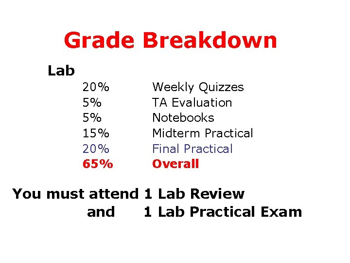 Grade Breakdown Lab 20% 5% 5% 15% 20% 65% Weekly Quizzes TA Evaluation Notebooks