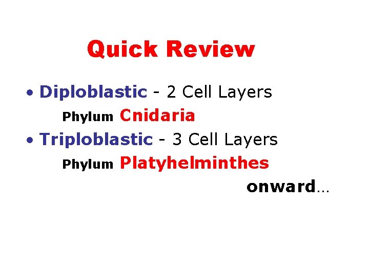 Quick Review • Diploblastic - 2 Cell Layers Phylum Cnidaria • Triploblastic - 3