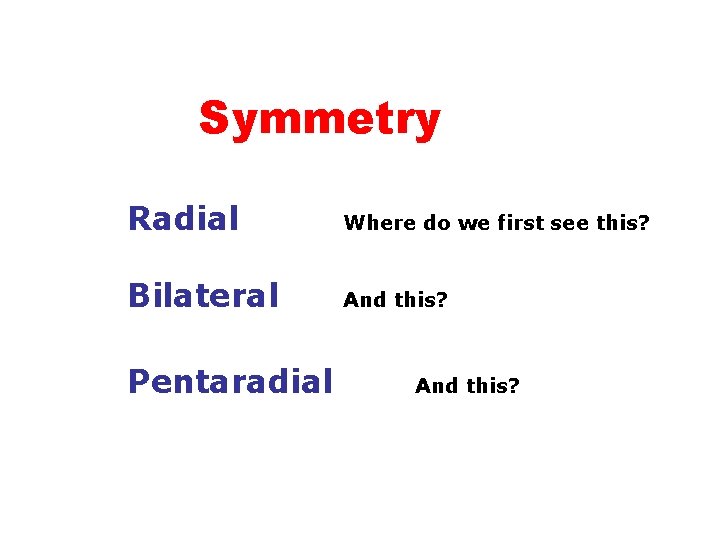 Symmetry Radial Where do we first see this? Bilateral And this? Pentaradial And this?