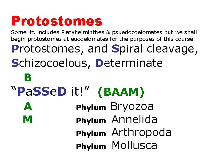 Protostomes (4 Some lit. includes Platyhelminthes & psuedocoelomates but we shall begin protostomes at
