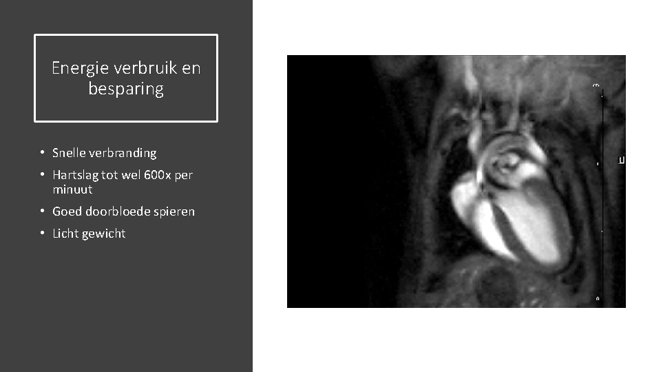 Energie verbruik en besparing • Snelle verbranding • Hartslag tot wel 600 x per