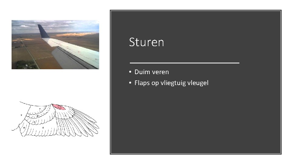 Sturen • Duim veren • Flaps op vliegtuig vleugel 