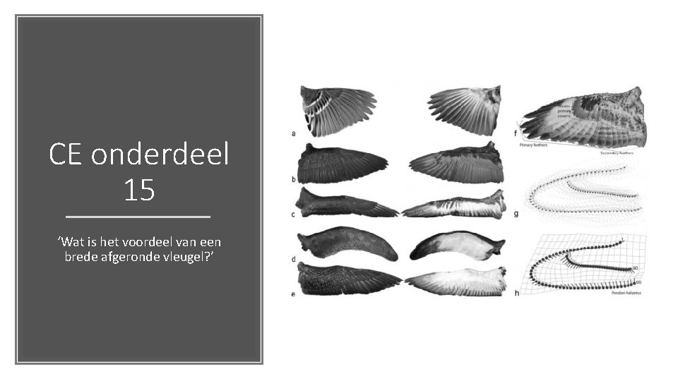 CE onderdeel 15 ‘Wat is het voordeel van een brede afgeronde vleugel? ’ 