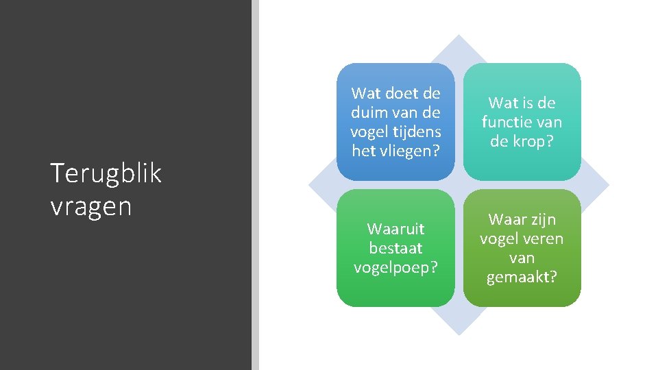 Terugblik vragen Wat doet de duim van de vogel tijdens het vliegen? Wat is