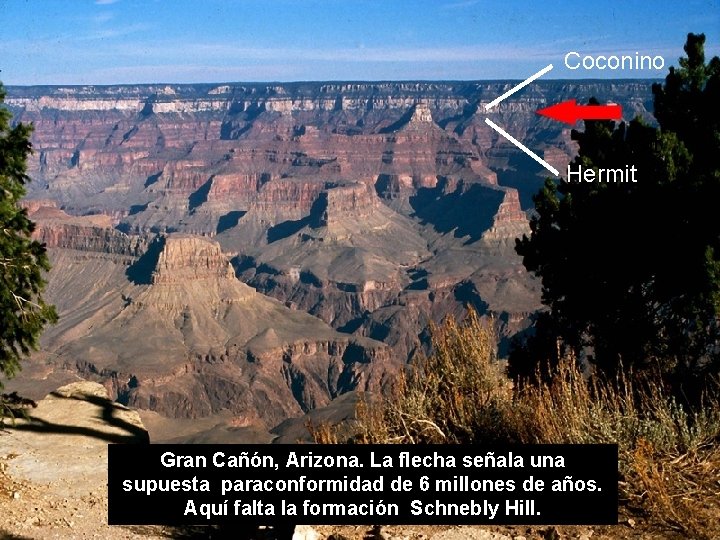 Coconino Hermit Gran Cañón, Arizona. La flecha señala una supuesta paraconformidad de 6 millones