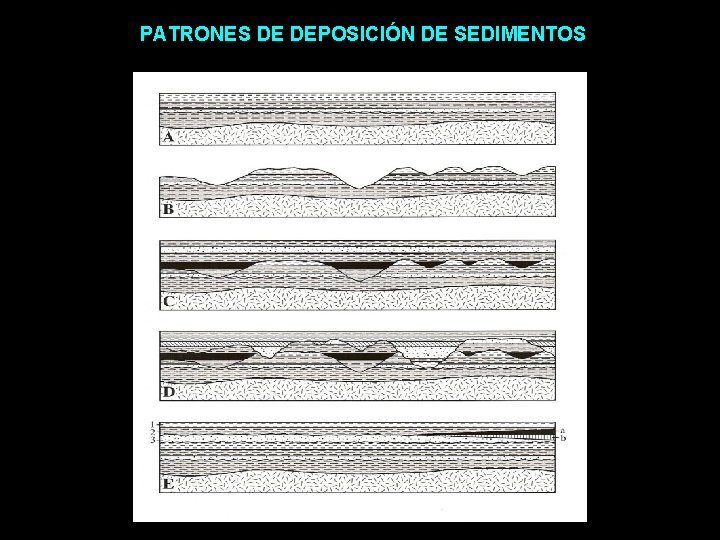 PATRONES DE DEPOSICIÓN DE SEDIMENTOS 