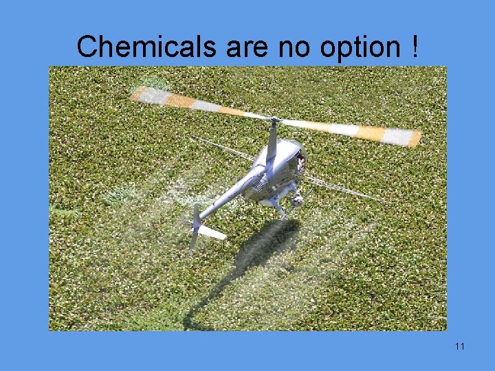 Chemicals are no option ! 11 