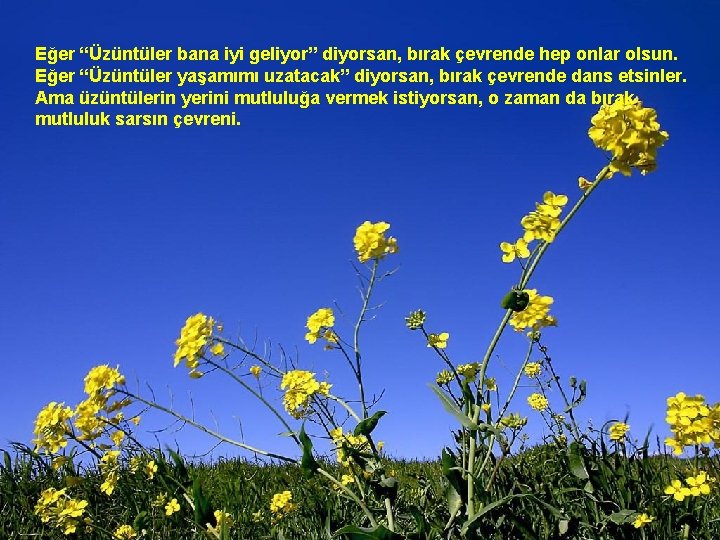 Eğer “Üzüntüler bana iyi geliyor” diyorsan, bırak çevrende hep onlar olsun. Eğer “Üzüntüler yaşamımı