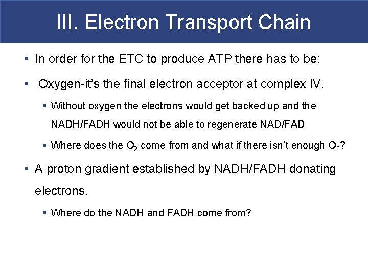 III. Electron Transport Chain § In order for the ETC to produce ATP there