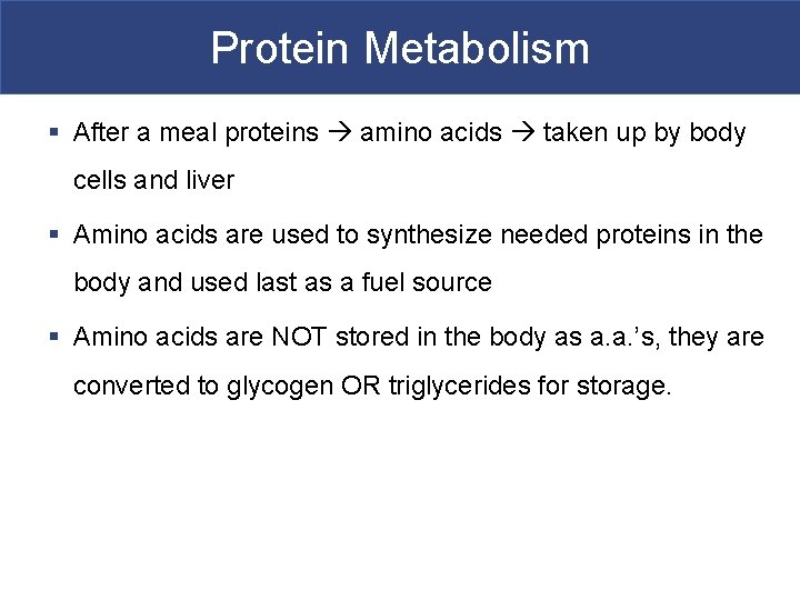 Protein Metabolism § After a meal proteins amino acids taken up by body cells