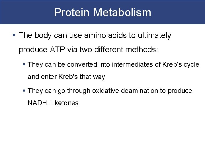 Protein Metabolism § The body can use amino acids to ultimately produce ATP via