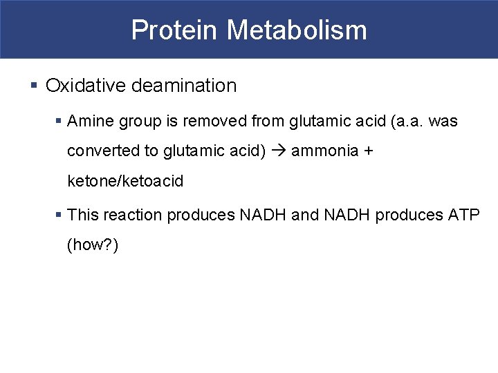 Protein Metabolism § Oxidative deamination § Amine group is removed from glutamic acid (a.