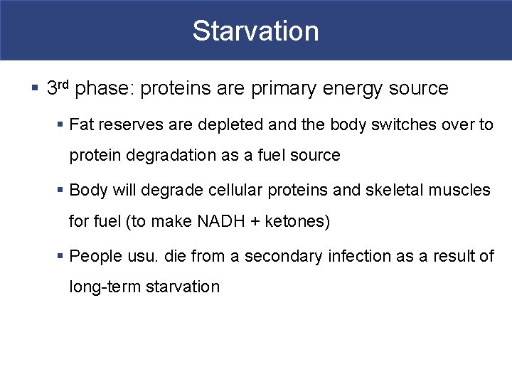 Starvation § 3 rd phase: proteins are primary energy source § Fat reserves are