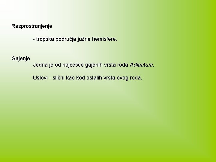 Rasprostranjenje - tropska područja južne hemisfere. Gajenje Jedna je od najčešće gajenih vrsta roda