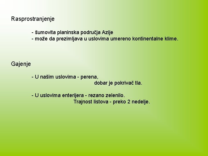 Rasprostranjenje - šumovita planinska područja Azije - može da prezimljava u uslovima umereno kontinentalne