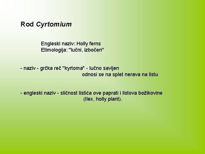 Rod Cyrtomium Engleski naziv: Holly ferns Etimologija: ''lučni, izbočen'' - naziv - grčka reč