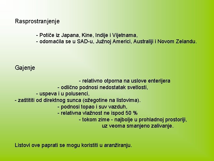 Rasprostranjenje - Potiče iz Japana, Kine, Indije i Vijetnama, - odomaćila se u SAD-u,