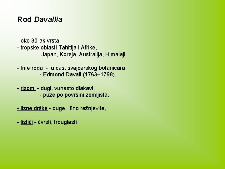 Rod Davallia - oko 30 -ak vrsta - tropske oblasti Tahitija i Afrike, Japan,