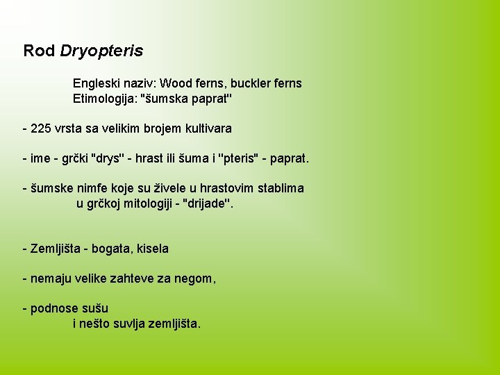 Rod Dryopteris Engleski naziv: Wood ferns, buckler ferns Etimologija: ''šumska paprat'' - 225 vrsta