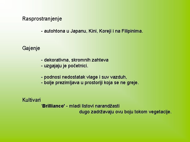 Rasprostranjenje - autohtona u Japanu, Kini, Koreji i na Filipinima. Gajenje - dekorativna, skromnih