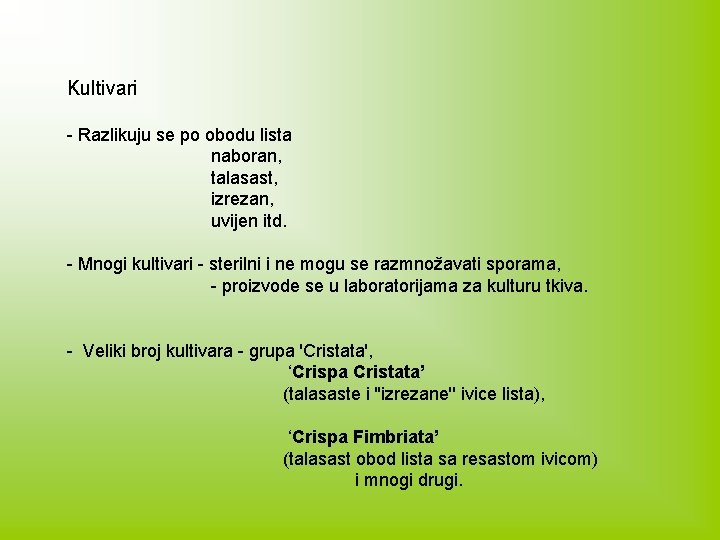 Kultivari - Razlikuju se po obodu lista naboran, talasast, izrezan, uvijen itd. - Mnogi