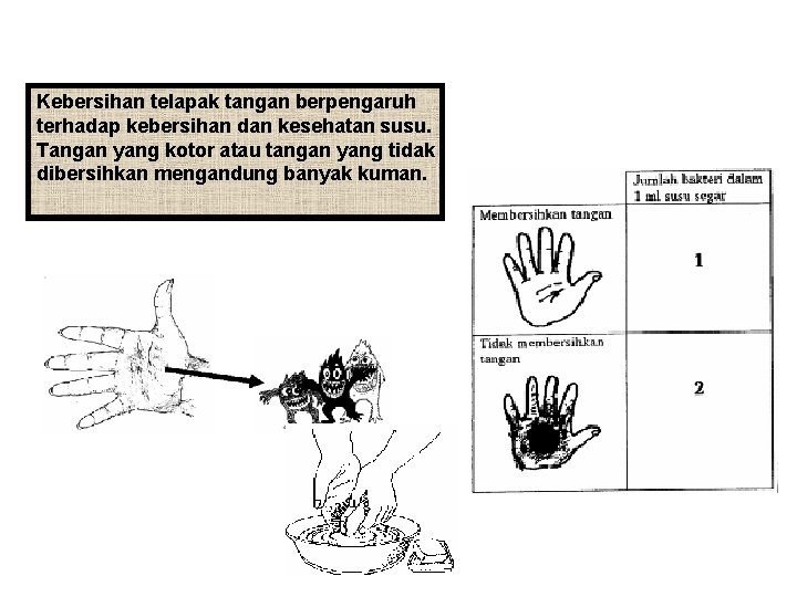 Kebersihan telapak tangan berpengaruh terhadap kebersihan dan kesehatan susu. Tangan yang kotor atau tangan
