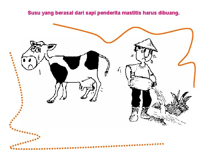 Susu yang berasal dari sapi penderita mastitis harus dibuang. 