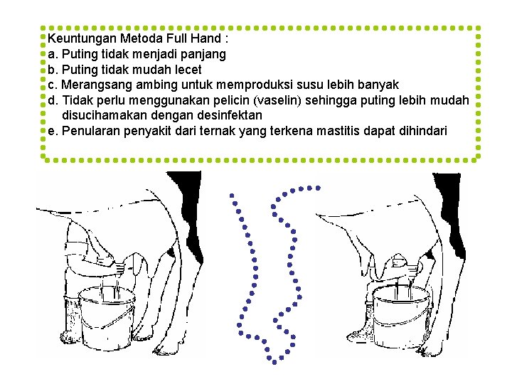 Keuntungan Metoda Full Hand : a. Puting tidak menjadi panjang b. Puting tidak mudah