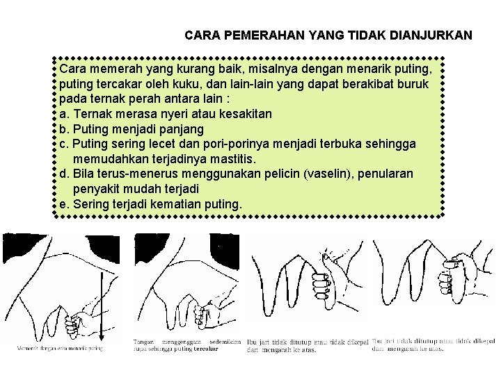 CARA PEMERAHAN YANG TIDAK DIANJURKAN Cara memerah yang kurang baik, misalnya dengan menarik puting,