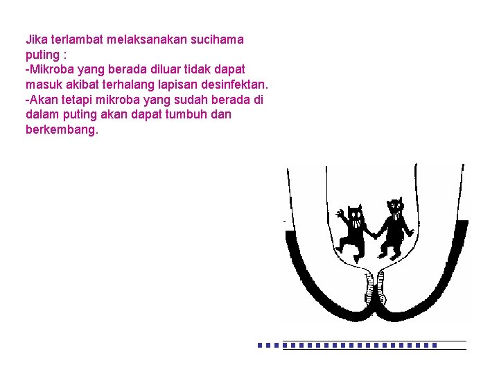 Jika terlambat melaksanakan sucihama puting : -Mikroba yang berada diluar tidak dapat masuk akibat