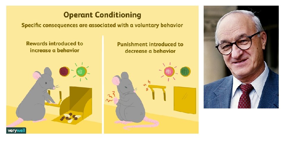 Bandura – Social Learning Theory • Bandura developed his theory in the 1960’s • Bandura – Social Learning Theory • Bandura developed his theory in the 1960’s •