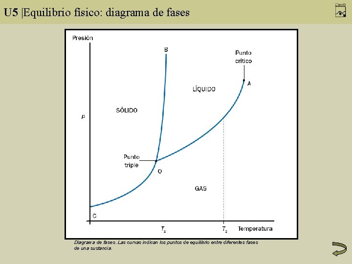 U 5 |Equilibrio físico: diagrama de fases Diagrama de fases. Las curvas indican los