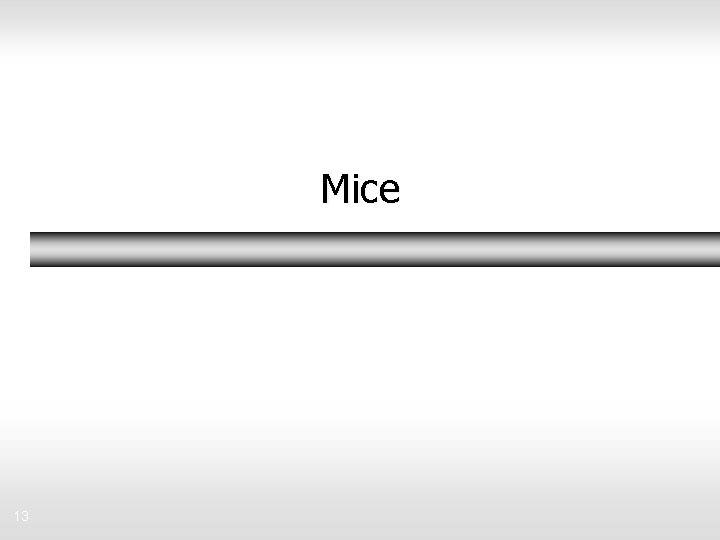 Mice 13 