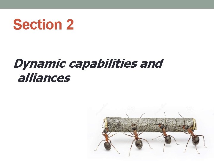 Section 2 Dynamic capabilities and alliances 